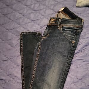 Hudson Jeans Dark Blue Women's Skinny Jeans